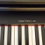 Daewoo Digital Piano Veloce x-210