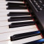 Piano Electrico | Roland RD-300SX