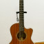 Guitarra acústica Gary Levinson LGC-22 MVT