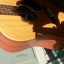 Guitarra Acustica Martin Dx1