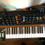 Behringer Poly D - Envío incluído