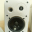 JBL Control 1 Pro Altavoces Blancos (Par)