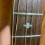 Banjitar Goldtone GT 500