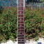 Guitarra Yamaha SG 300 1980s Japan