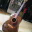 Fender Newporter