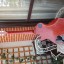 Gibson Les Paul Special Faded Mahogany 2002 & Seymour Phat Cat