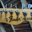 Fender Telecaster Thinline 69 Reissue - 1985-86 Japón (Fuji Gen) Estudio cambios en mano