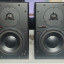 Dynaudio BM6A pareja