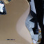 Fender Telecaster (Mejorada)