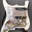 Golpeador Fender Strato Player completo