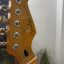 Stratocaster tidepool mate