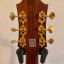 Epiphone masterbilt dr-500 rns