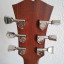 Guitarra acústica Dowina Danubius GACE  L.R. Baggs