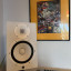 Pareja Yamaha HS8 blancos