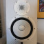 Pareja Yamaha HS8 blancos