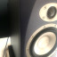 Vendo monitores activos de estudio Tannoy Reveal con stands - 250€