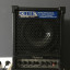 Roland Cube Monitor CM-30