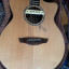 Faith Venus Cutaway Electro-Acoustic Guitar con Funda + LR Baggs M1