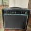 Ampli Intermusic Imp 20W con Rola Celestion G-10 50 setentero