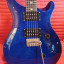 PRS SE custom 24