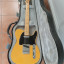 Fender Telecaster player plus bb