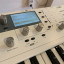 Waldorf Blofeld Keyboard White