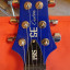 PRS SE custom 24