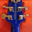 PRS SE custom 24