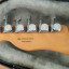 Fender Telecaster player plus bb