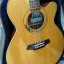 Takamine Santa Fe LTD 97