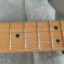 Fender Telecaster player plus bb