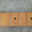 Fender Telecaster player plus bb
