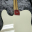 AMERICAN PROFESSIONAL TELECASTER