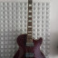 D'Angelico premier ss red wine