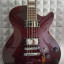 D'Angelico premier ss red wine