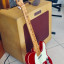 Fender Bassman Tv 350