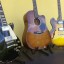 Gibson ES335 Custom Shop - Gibson Les Paul Traditional - Martin Dcpa4 - Regalo Marshall JVM 215C