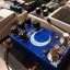 Walrus Audio Slotva Reverb