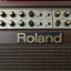 Roland Ac 100 Acoustic Chorus