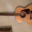 Guitarra acústica Takamine GN93-Nat.