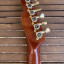 Telecaster Thinline Carlitos Custom Guitars (Relic)