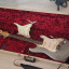 Fender Stratocaster Custom Shop "59 Reissue Relic" Limited Edition - Rocking Dog