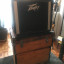 PEAVEY SPECIAL 130 (Made in USA) + Flight Case