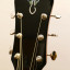 Guitarra acústica Gary Levinson LGC-22 MVT  + Fishman Matrix VT