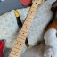 Squier Stratocaster Standard 70s, pastillas Fender Std