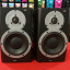Dynaudio BM5A MKII
