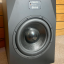 ADAM Audio   P22 y Sub 12"  conjunto