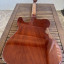 Telecaster Thinline Carlitos Custom Guitars (Relic)