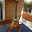 Dean razorback explosión dimebag
