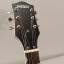 Gretsch 5420T